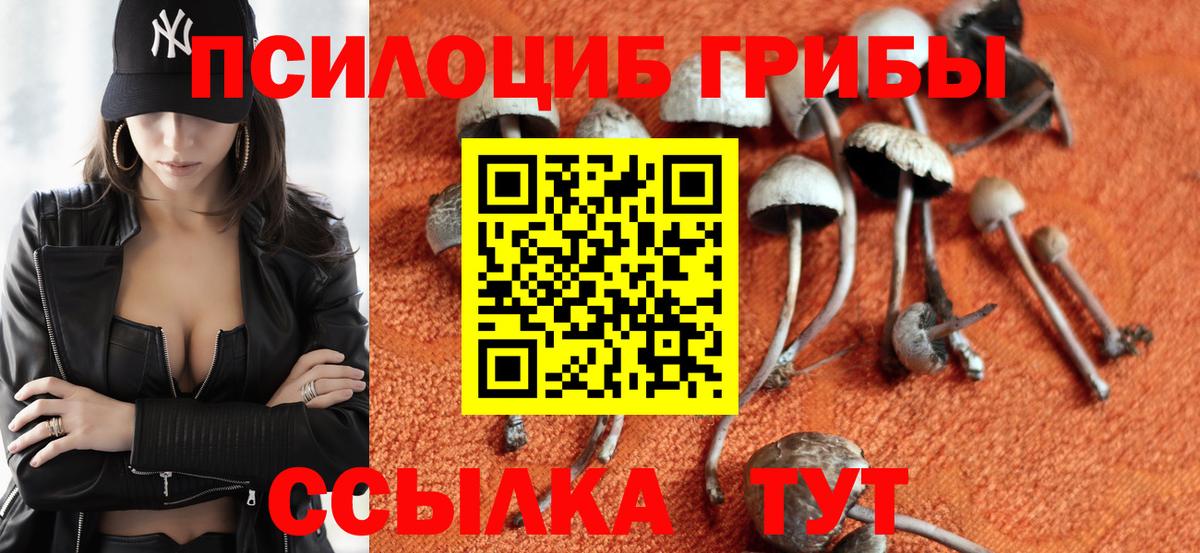 Галлюциногенные грибы GOLDEN TEACHER  Галлюциногенные грибы GOLDEN TEACHER  Вход с VPN  Зеленокумск 