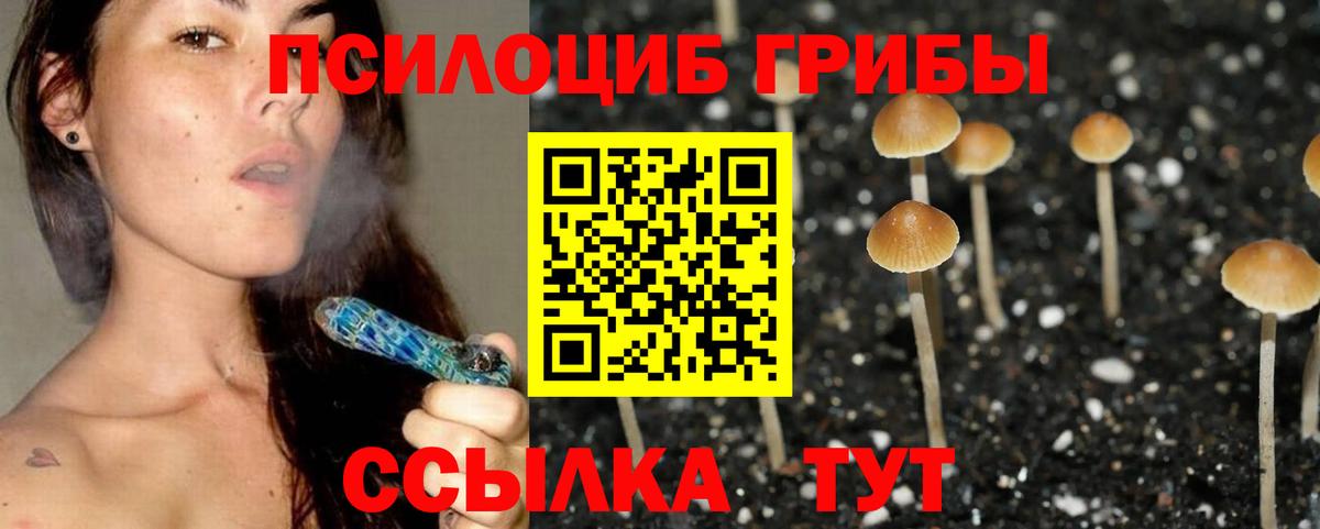 Галлюциногенные грибы Cubensis Зеленокумск